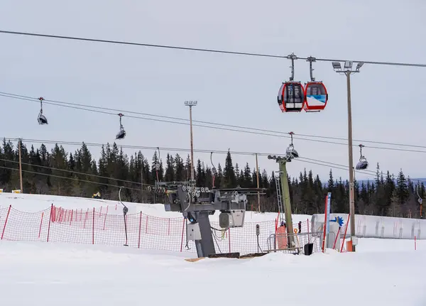 Karlı yamaçların üzerinden geçen kırmızı teleferikler kış kayak merkezinin yukarısında yan yana giden iki kırmızı gondol. Karla kaplı zemin ve yüksek çam ağaçları Laponya 'da mükemmel bir alp manzarası yaratır..