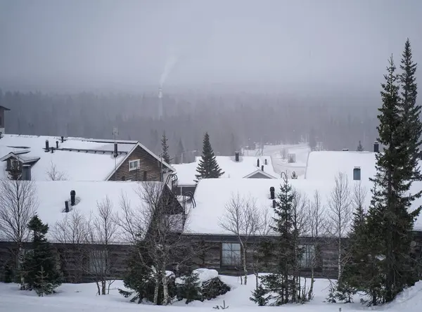 Orman ve baca dumanlı karlı köy çatıları yoğun bir ormanla çevrili karla kaplı evlerin sakin bir kış manzarası baca dumanı sisli gökyüzüne yükseliyor..