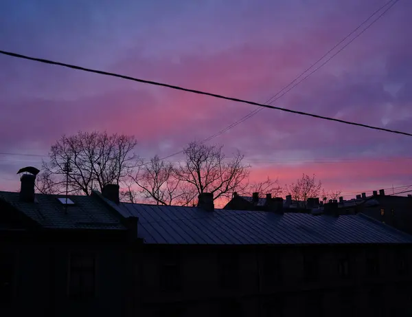 Renkli kış şafağı gökyüzünü canlı pembe ve mor, siluetli çatılar ve çıplak ağaçlarla boyuyor. Huzurlu şehir sabah atmosferi sakin, soğuk güzellik.