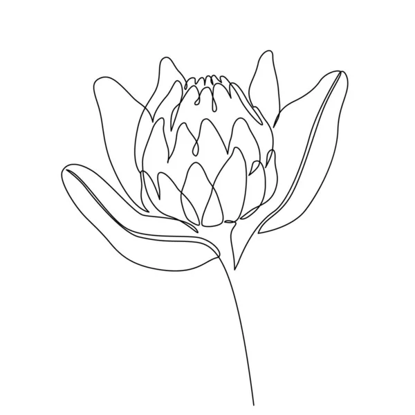 Kresba Čáry Květin Abstraktní Botanické Květinové Linie Umění Izolované Bílém — Stockový vektor