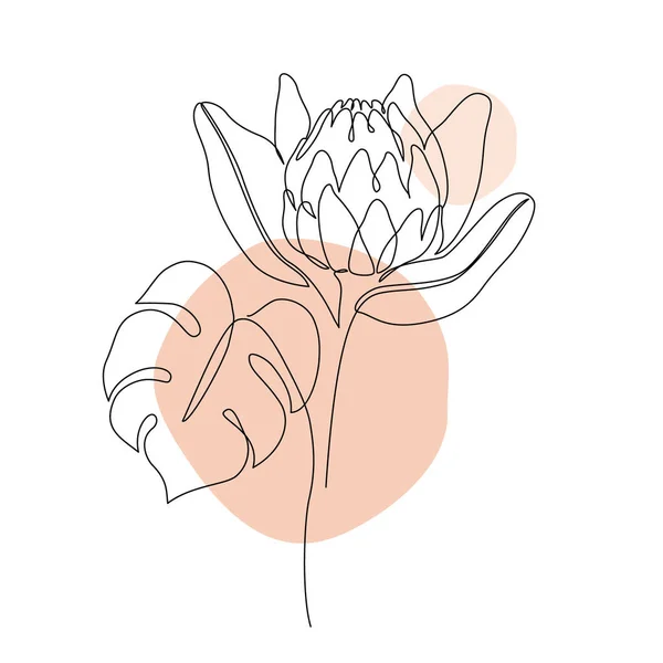 お茶の花や熱帯モンスターの葉の線画 抽象植物の花や葉は幾何学的形状の背景に線画を描きます 1つの連続行スタイルで最小ベクトルイラスト — ストックベクタ
