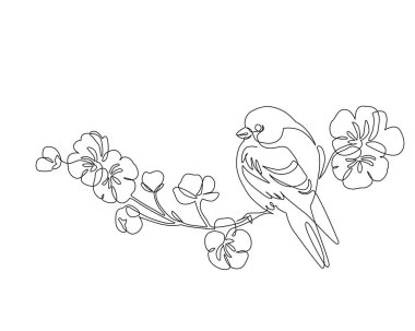 Çiçek açan ağaç dalına tünemiş soyut küçük bir kuş. Daldaki kuş sürekli tek bir çizgi çiziyor. Kiraz çiçeği ve tüneyen meme faresi. Bahar konsepti sanatı. El çizimi vektör illüstrasyonu.