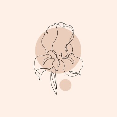 Devamlı çizim tarzında Iris çiçeği. İris çiçeği çizimi. Geometrik arkaplan üzerinde botanik doğrusal tasarım Düğün posteri ve davetiye kartı için el çizimi vektör çizimi