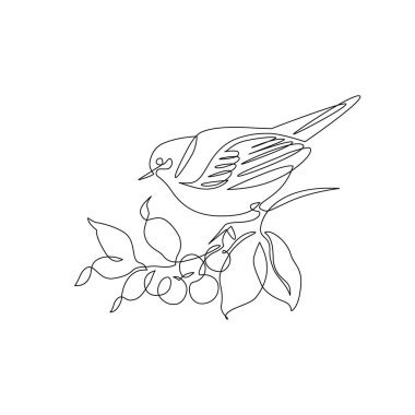 Böğürtlen dalına tünemiş soyut küçük bir kuş. Daldaki kuş sürekli tek bir çizgi çiziyor. Böğürtlenli dal ve tüneyen kuş. Sonbahar konsept sanatı. El çizimi vektör illüstrasyonu.