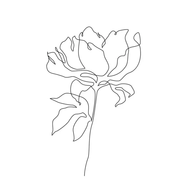 Devamlı Çizim Tarzında Şakayık Çiçekleri Beyaz Arkaplanda Izole Edilmiş Botanik Telifsiz Stok Illüstrasyonlar