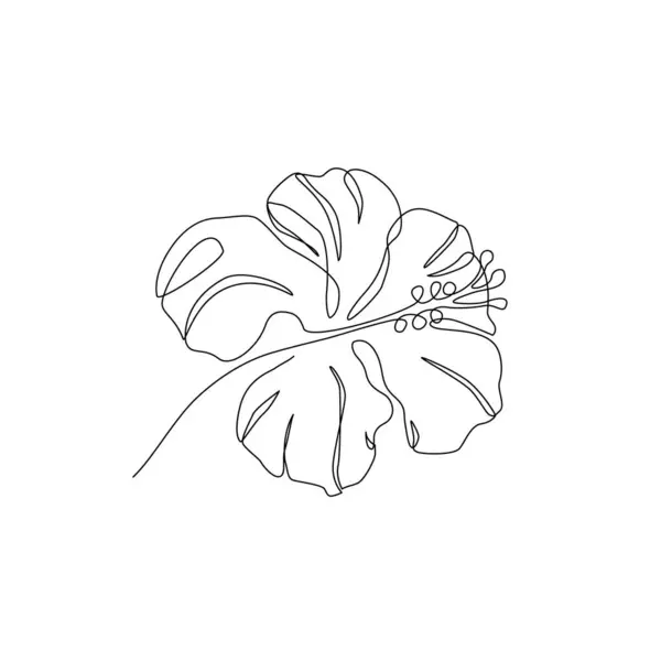 Hibiscus Çiçeği Aralıksız Çizim Tarzında Hibiscus Siyah Çizgi Çizimi Botanik Telifsiz Stok Vektörler