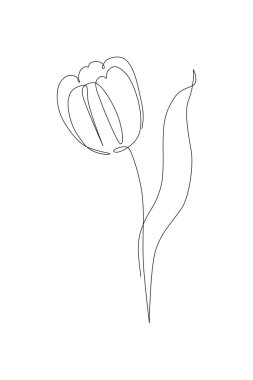 Lale çiçeği aralıksız çizim tarzı. Lale çizgisi çizimi. Anneler günü konsepti. Botanik çiçekli doğrusal tasarım arka planı. Düğün posteri için el çizimi vektör çizimi, davetiye kartı