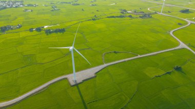 Green rice fields with wind turbines in rural Vietnam. Royalty high-quality free best stock of renewable energy and farming landscape, sustainable electricity, eco power, nature and environment