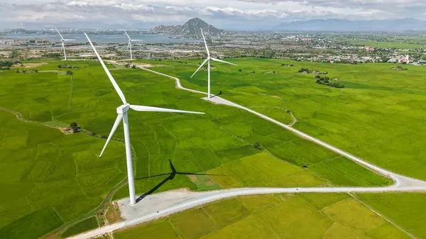 Green rice fields with wind turbines in rural Vietnam. Royalty high-quality free best stock of renewable energy and farming landscape, sustainable electricity, eco power, nature and environment