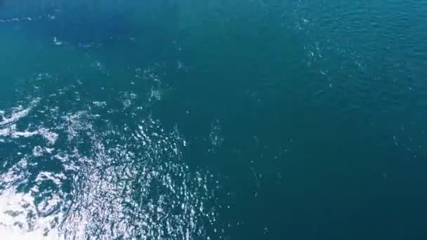 Şili Deki Futaleufu Nehrinin Üzerinde Ileri Geri Hareket Edin Hava — Stok video