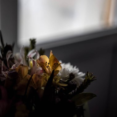 Farklı çiçeklerden oluşan güzel bir buket. Koyu bir arka planda yakın plan..