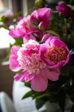 Masanın üzerinde bir vazoda pembe peonies buket.