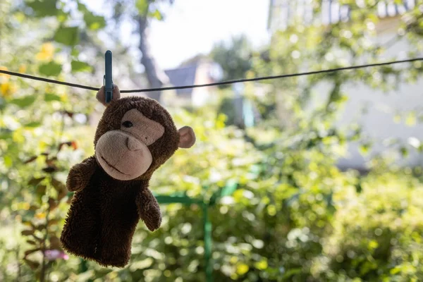 Stara Zabawkowa Małpa Wisząca Linii Suszenia — Zdjęcie stockowe