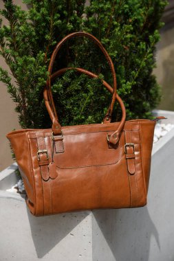 Çimentodan yapılmış bir saksının üzerindeki kahverengi deri çanağın yakın plan fotoğrafı. Açık hava fotoğrafı.