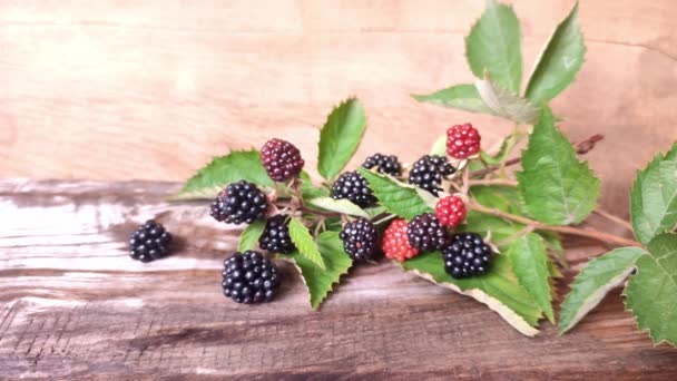 Blackberry Fruit Uit Een Braam Het Glas Tafel Bessen Takken — Stockvideo