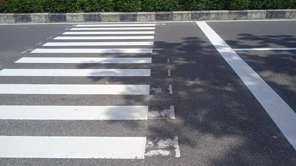 crosswalk on the road for safety when people walking cross the street