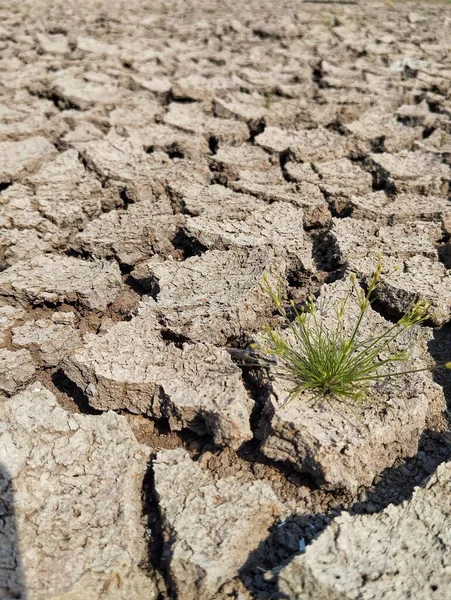 Kuru çatlak toprak dokusu ve zeminin arka planı