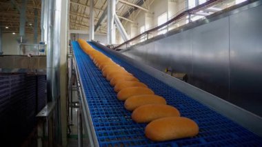 Ekmek fırını gıda fabrikası. Ekmekler taşıyıcıda. Yüksek kalite 4k görüntü