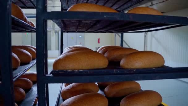 パン工場での素敵なショット パンは金属製の棚にある 高品質4K映像 — ストック動画