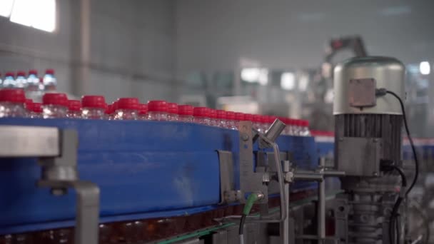水厂的输送机上盛满了瓶子 高质量的4K镜头 — 图库视频影像