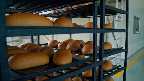 Отличный Выстрел Хлебозаводе Хлеб Металлических Полках Высококачественные Кадры — стоковое видео