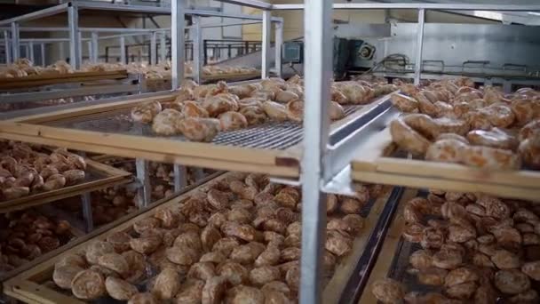 Ekmek Fabrikasında Iyi Atış Ekmekler Metal Raflarda Yüksek Kalite Görüntü — Stok video