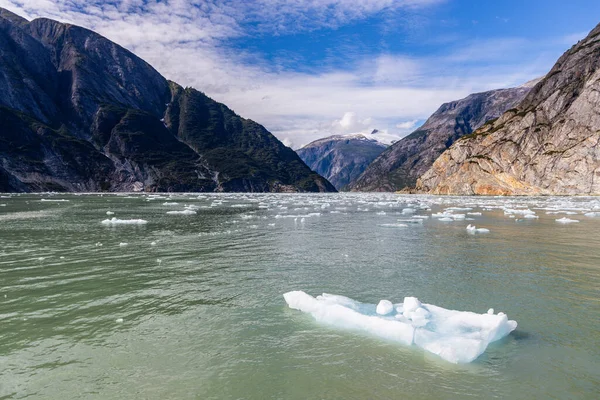 Des Icebergs Parsèment Surface Eau Dans Fjord Tracy Arm Près — Photo