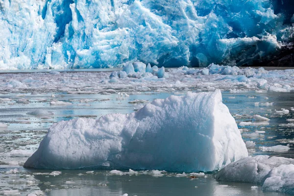 Egy Nagy Jéghegy Úszik Déli Sawyer Gleccser Előtt Juneau Közelében — Stock Fotó