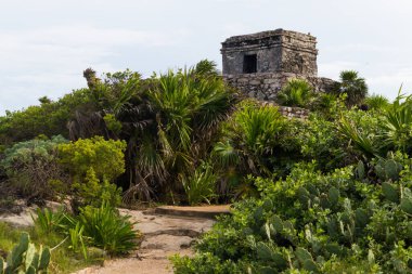 Tulum, Meksika 'daki Templo Del Dios Viento Maya kalıntıları..