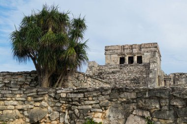 El Castillo olarak bilinen bina, Tulum, Meksika 'daki Maya harabelerinden biri..