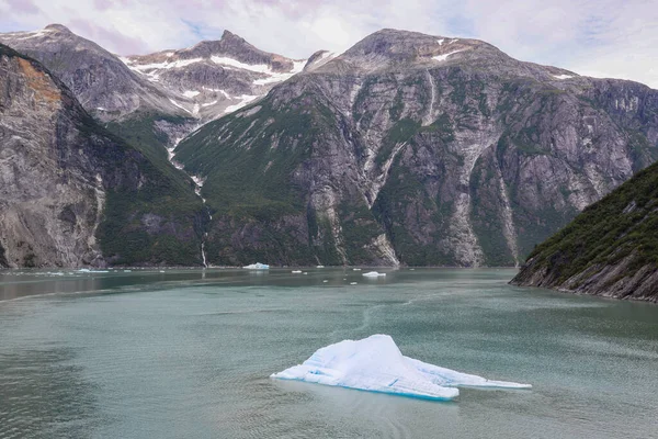 Айсберг Плавающий Фьорде Трейси Армс Отелившись Ледника Саут Сойер Близ Стоковое Фото