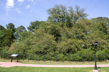 Hampton Üniversitesi kampüsündeki tarihi bir ağaç olan Özgürlük Meşesi 'nde yerel Afrikalı Amerikalılar 1863' te Güney 'deki Özgürlük Bildirgesi' nin ilk okunuşunu dinlemek için bir araya geldiler..