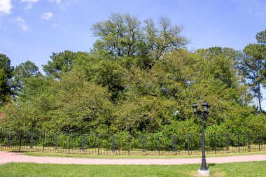 Hampton Üniversitesi kampüsündeki tarihi bir ağaç olan Özgürlük Meşesi 'nde yerel Afrikalı Amerikalılar 1863' te Güney 'deki Özgürlük Bildirgesi' nin ilk okunuşunu dinlemek için bir araya geldiler..