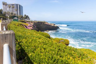 LA JOLLA, CALIFORNIA - 10 Mayıs 2025: San Diego, Kaliforniya 'daki La Jolla Koyu, güzel manzarası, kumlu plajı ve deniz aslanları nedeniyle popüler bir turistik bölge..