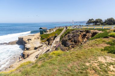 LA JOLLA, CALIFORNIA - 10 Mayıs 2025: Shell Beach 'teki sahil komandoları, San Diego eyaletinin en iyi tidepool alanlarından biri olarak bilinir, aynı zamanda ülkenin en iyi deniz camı plajlarından biridir..