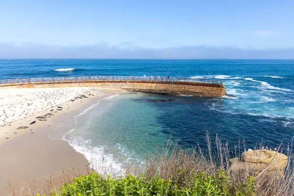LA JOLLA, CALIFORNIA - 10 Mayıs 2025: Çocukları dalgalardan korumak için 1931 'de inşa edilen tarihi Çocuk Havuzu, 1990' ların ortalarından beri bir liman fokları kolonisi tarafından yaşamaktadır..