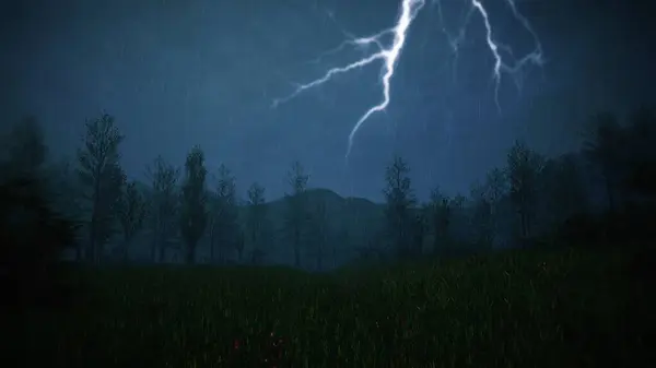 Ormanın güzel gece manzarası