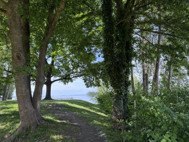 Bodensee Gölü Constance Seeufer