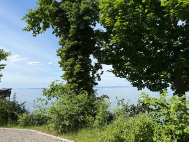 Bodensee Gölü Constance Seeufer