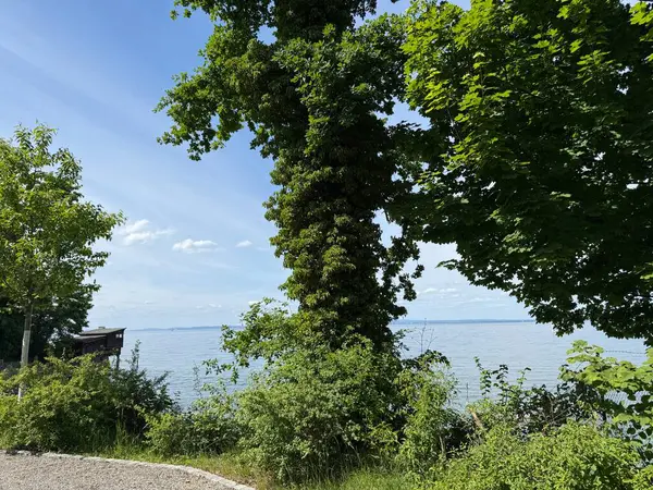 Bodensee Gölü Constance Seeufer