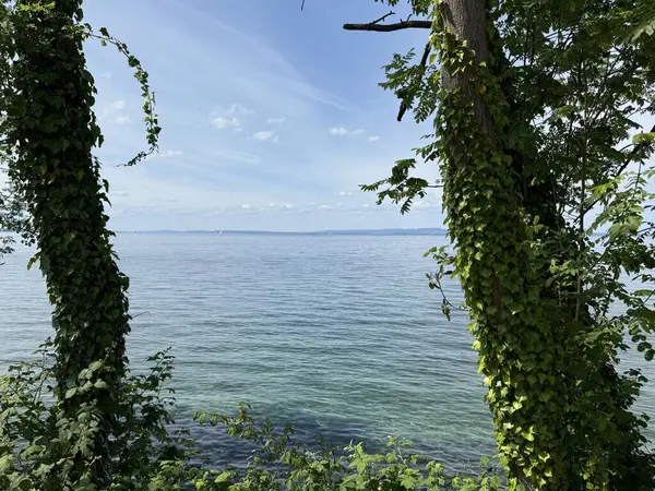 Bodensee Gölü Constance Seeufer