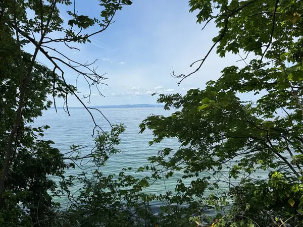 Bodensee Gölü Constance Seeufer