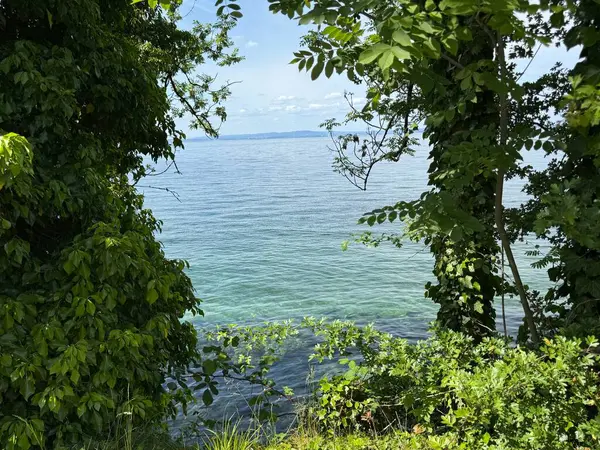 Bodensee Gölü Constance Seeufer