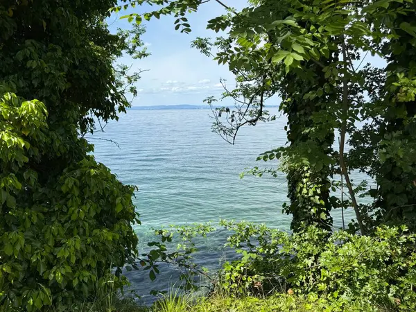 Bodensee Gölü Constance Seeufer