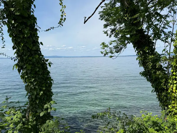 Bodensee Gölü Constance Seeufer