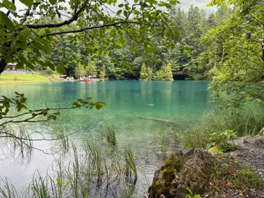 arka planda bir dağ gölü