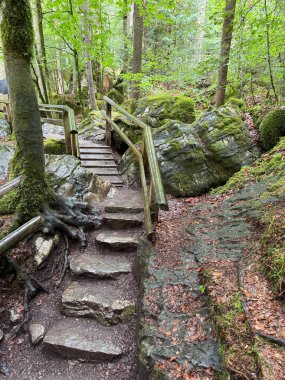 Ormanda yürüyüş parkuru.