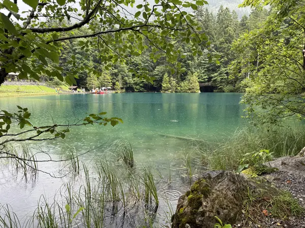 arka planda bir dağ gölü