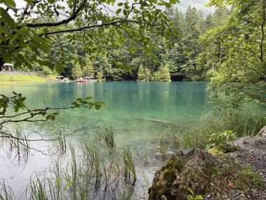 Doğanın güzel manzarası
