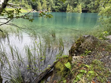 Golfvo Gölü Golan Gölü, Bulgaria - Golkovo Eyaleti, Golkovo,